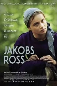 Когда поёт душа (2024)